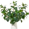 1/2 st Konstgjorda Växter Grön Kontor Brudbukett Bröllop Hemma Vas Trädgård Krans Gård Matsalsbord Utomhus DIY Gåva Dekor