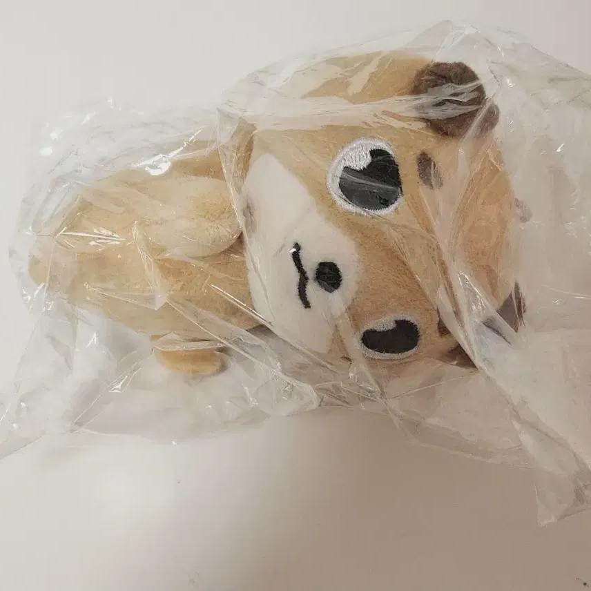 

Day6 Denimals Money Hand Warmer Hand Warmer Below Cost