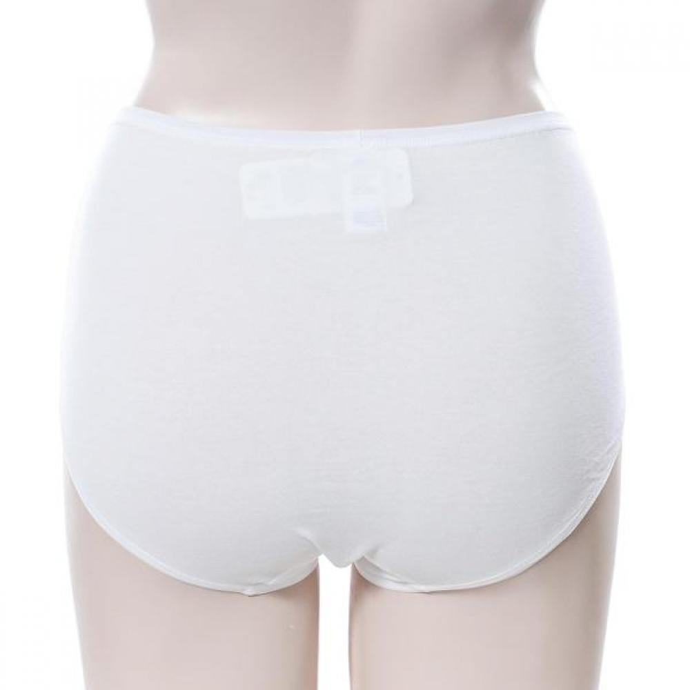 Barbara Organic Cotton Panties Gpt2516 Wh