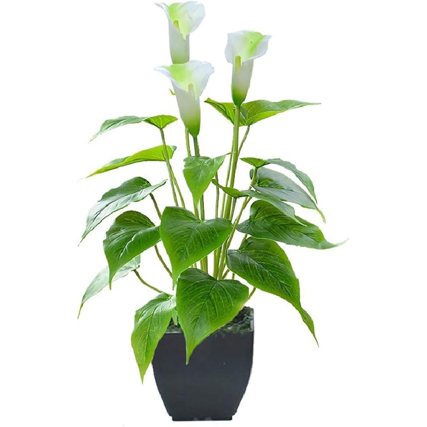 Artificial Flower Plants Calla Lily Faux Small Potted Plant with Black Pot Fake Bonsai Flower for Home, Office, Indoor and Outdoor Occasions Decor White Fake Flower