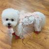 Lightweight 4-Legged Dog Pants Walks Anti-Dust Anti-Insect Belly Cover Removable Small Breed