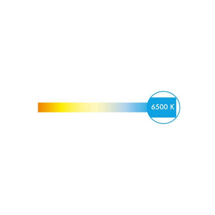 Spot LED GU10 4,6W Dicroïque équivalent à 50W - Blanc du Jour 6500K - 93026