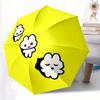Accesorii – Umbrele