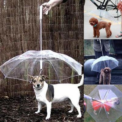 Kreativer Teddy Pudel Kleine Hunde Führende Regenschirme Spaziergänge mit Hunden Reisen Aus Hunde Wasserdichter Poncho Haustierprodukte