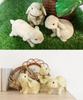 Ornement de Jardin Lapin Objet Figurine Intérieur Lapines Sœurs
