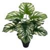 Nordic Style Variegated Monstera: Potted Plant for Home & Garden Decor