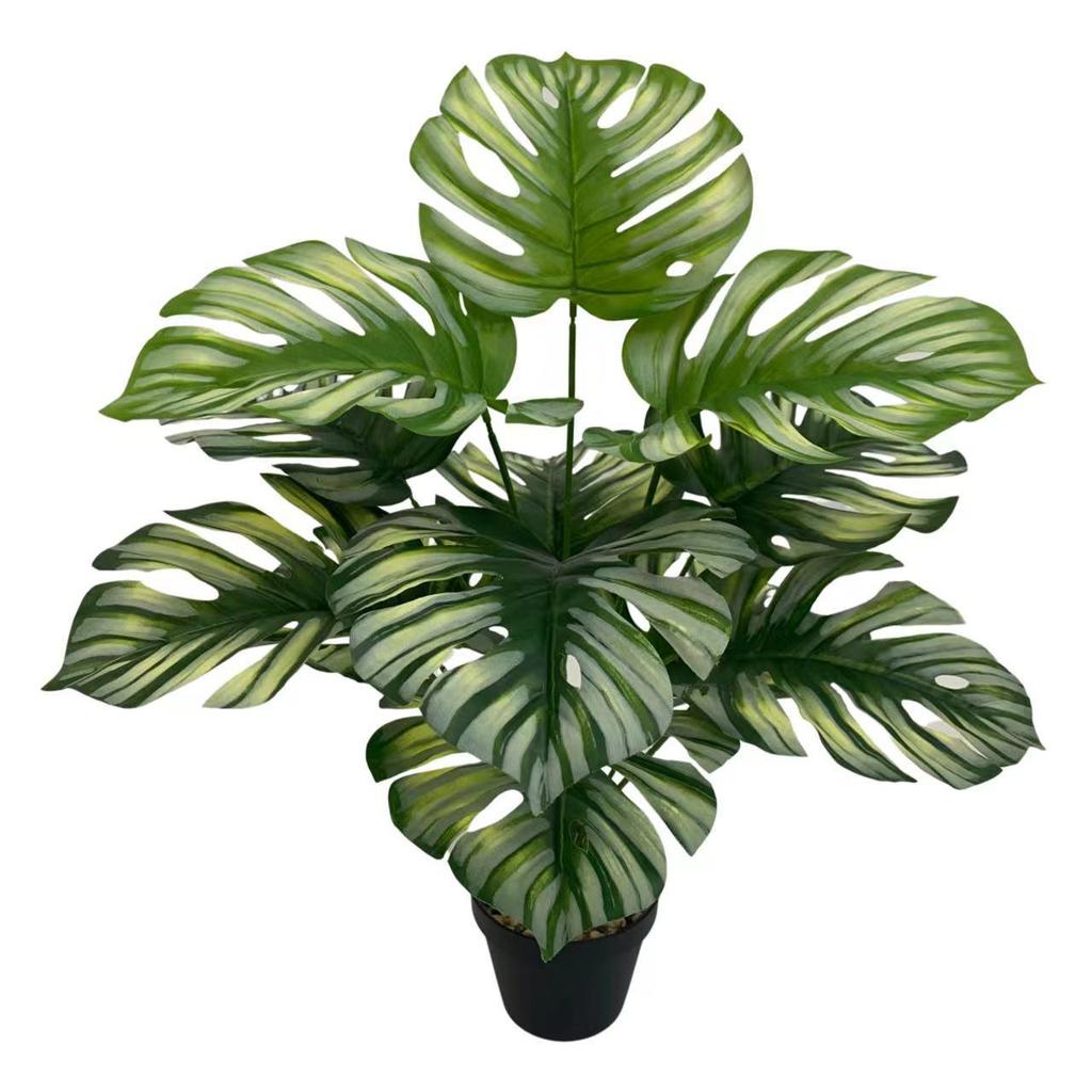 Nordic Style Variegated Monstera: Potted Plant for Home & Garden Decor