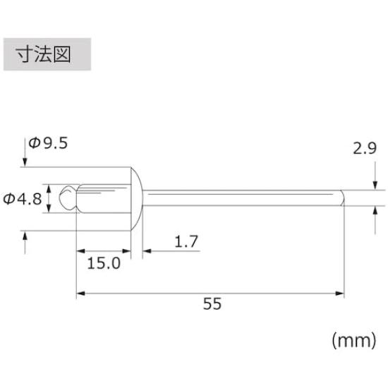 EBI Blind Rivet Stainless Steel LST66 (round Head) Steel/stainless 6-6 (500 Pieces)