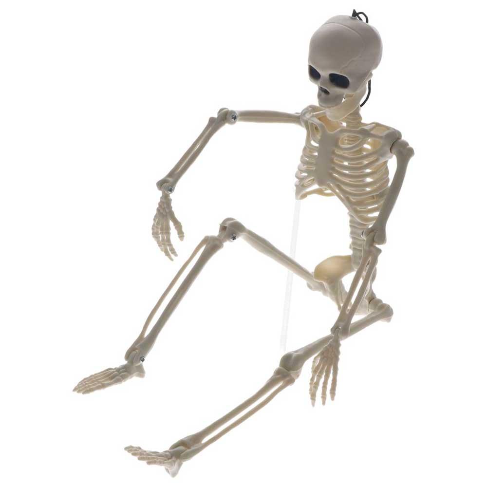 Decoration Skeleton People Active Model Car Decoration Anatomy Skeleton Human Skeleton Model