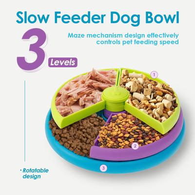 Perros – Proveedores de agua y alimento