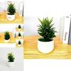 Fake Succulent Plant Pot With Pvc Material For Home Decor And Office Display