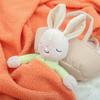 Sleeping Bunny Plush Toy With Pp Cotton Filling For Baby Girls Gift Idea