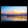 Baoshilai CX8698 Interactive Flat Panel Display