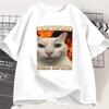 Cat Meme Tee Shirt Women Men Silly Cats T Shirt Ugly Tshirt Stupid Joke Printed Tshirt Unisex
