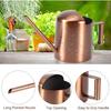 Small Watering Can, 10oz/300ml Stainless Steel Water Can for Indoor Plants Small Long Spout Watering Pot for House Plants, Succulents and Bonsai