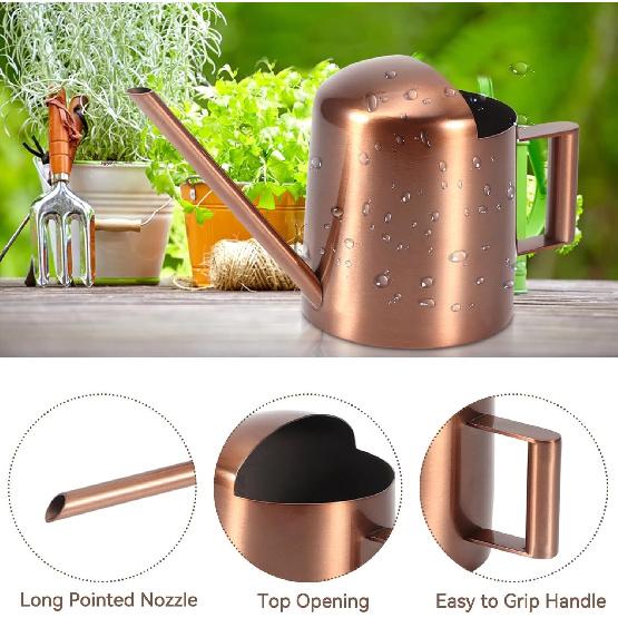 Small Watering Can, 10oz/300ml Stainless Steel Water Can for Indoor Plants Small Long Spout Watering Pot for House Plants, Succulents and Bonsai