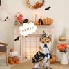 Halloween dog costume hat cape 2-piece set clothing poncho bat devil small medium cat cosplay adjustable