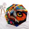 1pc Colorful Owl Design Automatic Opening/Closing Umbrella with Foldable Design, 8-Bone Iron Frame, Outdoor, Suitable for Fans, Travelers, Daily Use,