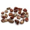 Small Brecciated Jasper Tumbled Stones African - 24 Pieces