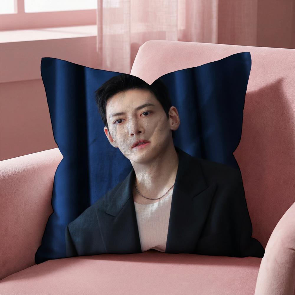 J-Ji C-Chang Wook Cushion Cover Multi-Scene Pillow Cover for Home & Car - Reversible, Soft & Durable for Daily Use