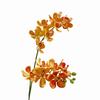 Long Branch Artificial Phalaenopsis 86cm Vanda Flower 3D Fake Flower  Art Accessories
