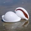 12pcs/lot White Rabbit Conch Natural Shell Conchs Aquarium Home Decoration Wedding Floor Wall Paste Micro-landscape Creative