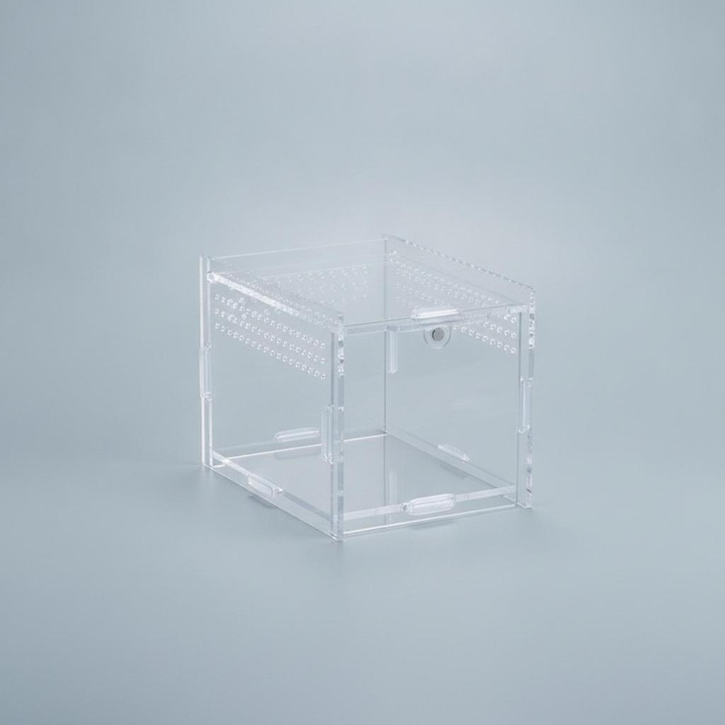 Transparent Acrylic Display Box with Assembled Panels Clear Reptile