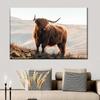 Amazing Portrait of Scottish Highland Cow Wall Pictures Canvas Painting Animal Posters Prints Living Room Home Decor