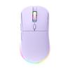 OLOEY 281 RGB Vertikale, geräuschlose Dual-Mode-Gaming-Maus