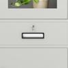 Zhenyuan 4-Shelf Metal File Cabinet with 2 Drawers
