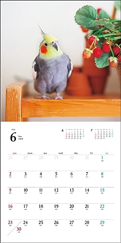 2024 Calendar Cockatiel (Seibundo Shinkosha Calendar)