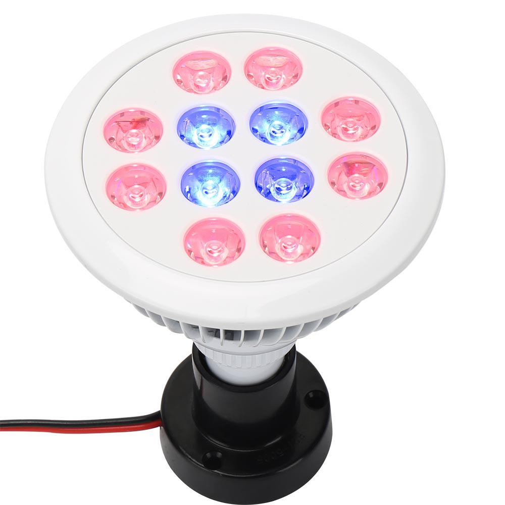 Lampa LED do uprawy E27 36W do sadzonek, owoców, warzyw, sukulentów i kwiatów w pomieszczeniach
