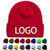 Men Women Unisex Knitted Beanie Hats Winter Soft Warm Skull Cap Fashion Outdoor Casual 3D Embroidery Beach Custom Logo 100%