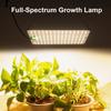 Full Spectrum Growth Light LED Indoor Plant Supplement Light 3000K 5000K IR Grow Light for Green Plants Flowers