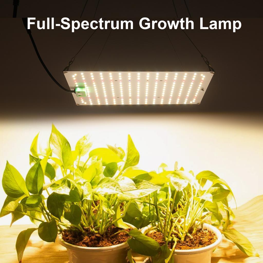 Full Spectrum Growth Light LED Indoor Plant Supplement Light 3000K 5000K IR Grow Light for Green Plants Flowers