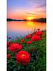 Nuovo Fai da Te Pittura Diamante 5D Paesaggio Fiore Cerchio Completo Mosaico Paesaggio Tramonto Ricamo Diamante Arte Decorazione Casa