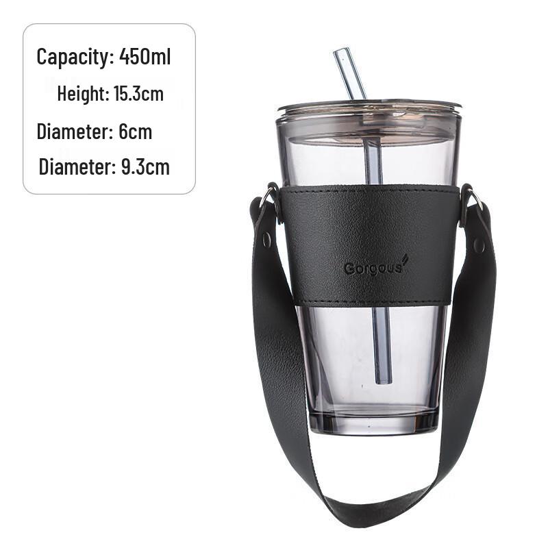 Trendy Aesthetic Glass Water Bottle with Handle, 450ML