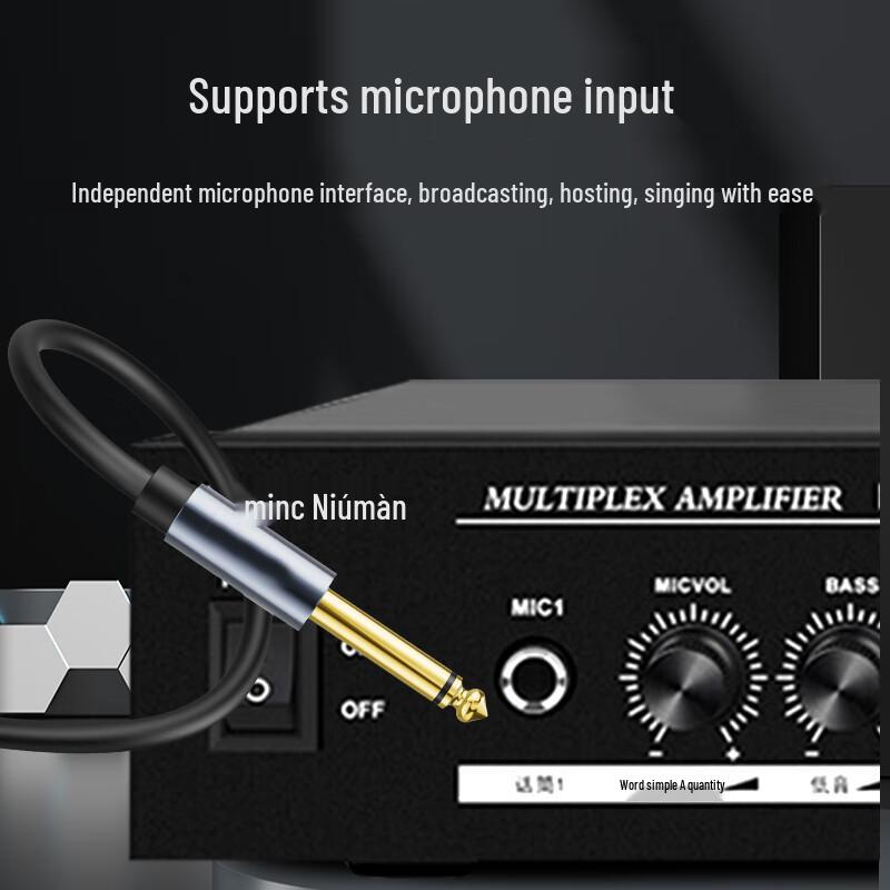 Newmine R15 Bluetooth Ceiling Speaker System CN plug (adapter included)