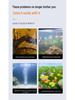 Protein Cotton Water Purifier Balls for Aquarium: Remove Yellow Water & Odors