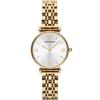 AR1877 Gianni T-Bar Ladies Watch
