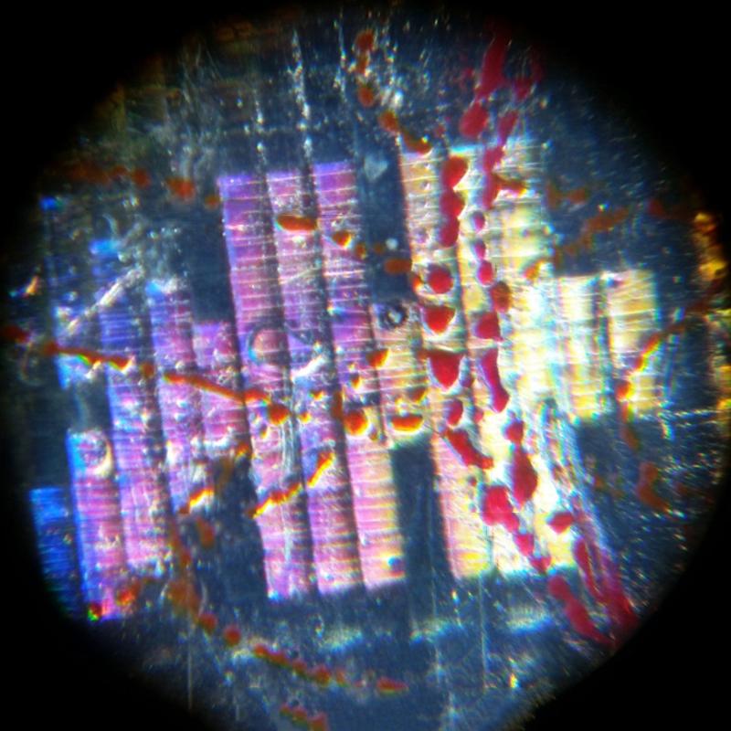 160-200X Adjustment Portable LED Microscope LED Lighted Pocket Microscope Magnifier-M25 Natural Observation Uses