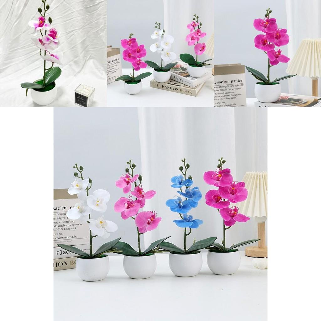 Durable Plastic Butterfly Orchid Fake Plant With Textured Finish For Celebrations And Photo Shoots
