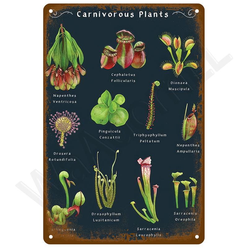 Metalen Borden Vintage Metalen Platen Posters Retro Muurkunst Bar Accessoires Mancave Tinnen Bord Kamer Luxe Woondecoratie Item Decoraties