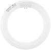 Fluorescent Lamp Round Shape 20W Cool Color Paruk FCL20ECW18F2