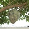Wespennest-Attrappe 28x22cm Outdoor Falsches Wespennest Ungiftig Bienenstock-Laterne Vertreiber Wespenabwehr-Laterne Heim Hof Zubehör