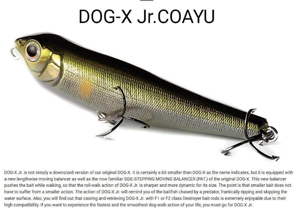 Megabass Lure COAYU GP Skeleton Chiayu 00000000211 DOG-X Jr.