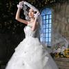 Eleganter einschichtiger weißer Ellbogenlänge Schleier mit Spitzenrand für Brautjungfern und Hochzeit 4,9 Fuß