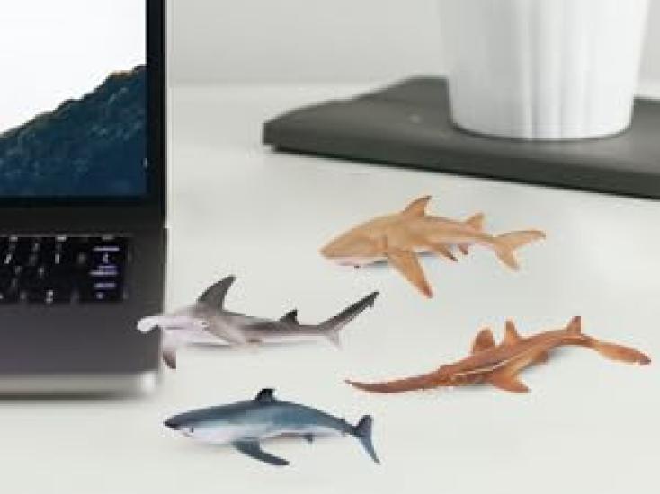TOYMANY Animal Figures 8PCS Shark Figures Marine Animal Figure Set Marine Life Fish Sea Creatures Realistic Animal Models Shark Lovers Popular Animal