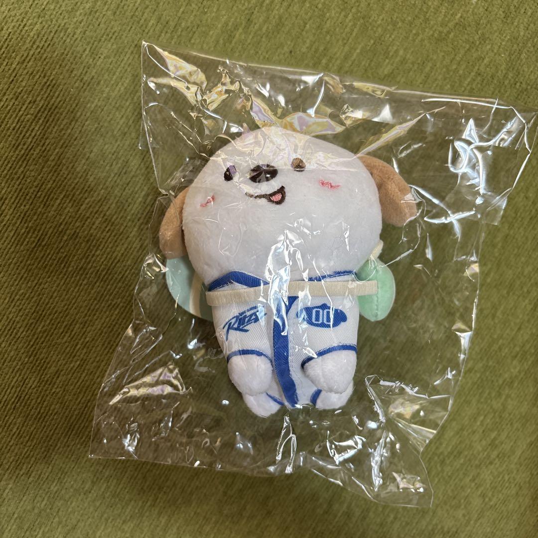 

[Б/У] МАЛЕНЬКИЙ БРЕЛОК RIIZE (10см) Монгрён Иантонг