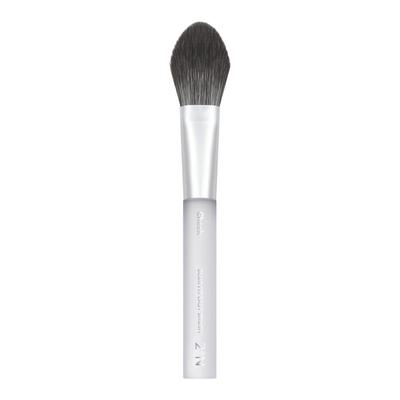 Blur Fit Easy Brush Cheek